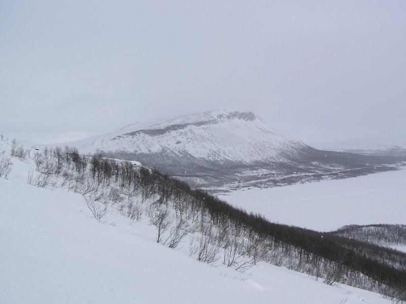 Click for the original image